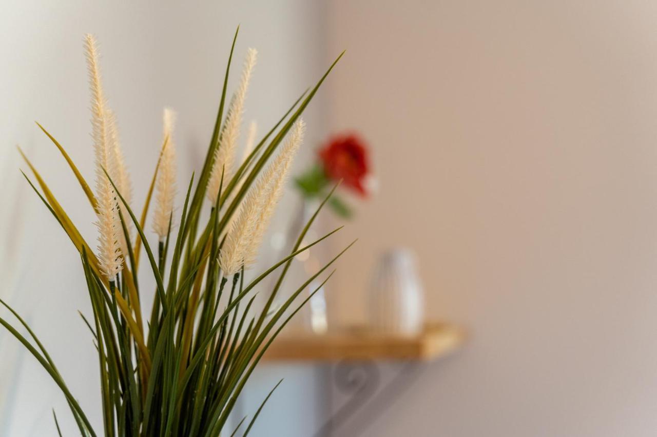 Apartamenty Nad Niwką Bielsko-Biala Bagian luar foto