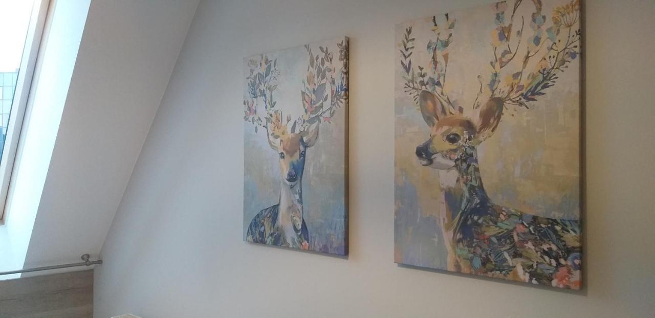 Apartamenty Nad Niwką Bielsko-Biala Bagian luar foto